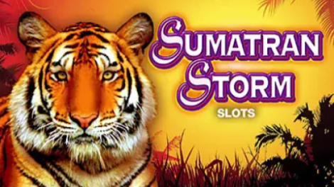 sumatran storm slot