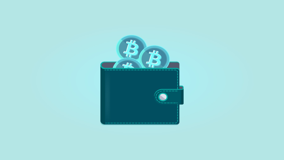 popular crypto wallets